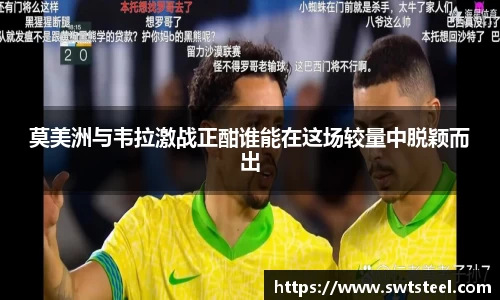 乐鱼体育官网